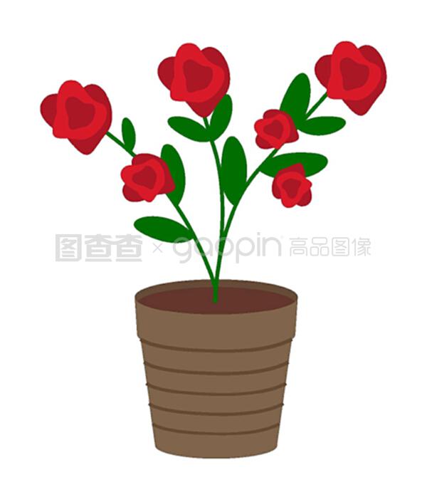 白色背景上的盆栽种植植物的矢量图。红色盆栽灌木。容器中的花园玫瑰。用于花园或公寓设计的植物,树形玫瑰灌木。白色盆栽种植植物的矢量图。